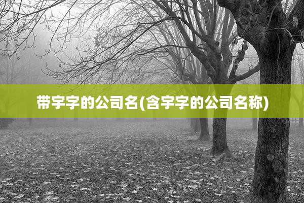 带宇字的公司名(含宇字的公司名称)