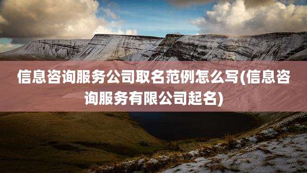 信息咨询服务公司取名范例怎么写(信息咨询服务有限公司起名)