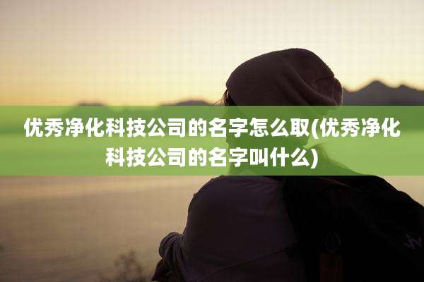 优秀净化科技公司的名字怎么取(优秀净化科技公司的名字叫什么)
