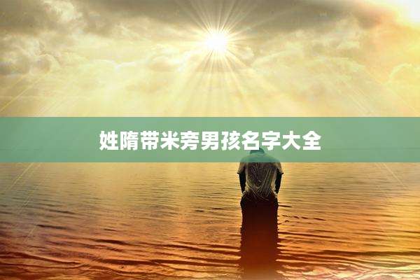 姓隋带米旁男孩名字大全