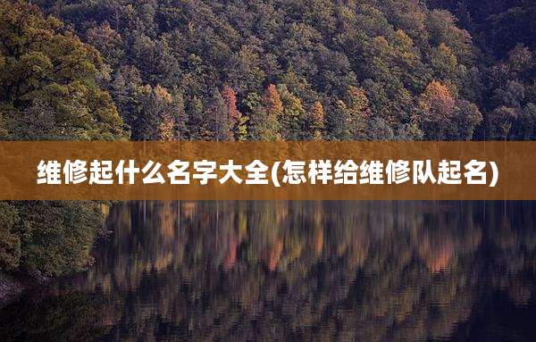 维修起什么名字大全(怎样给维修队起名)