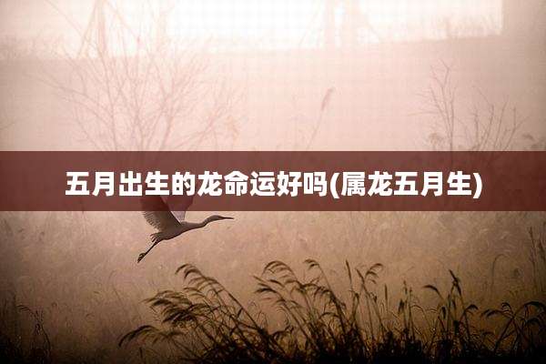 五月出生的龙命运好吗(属龙五月生)