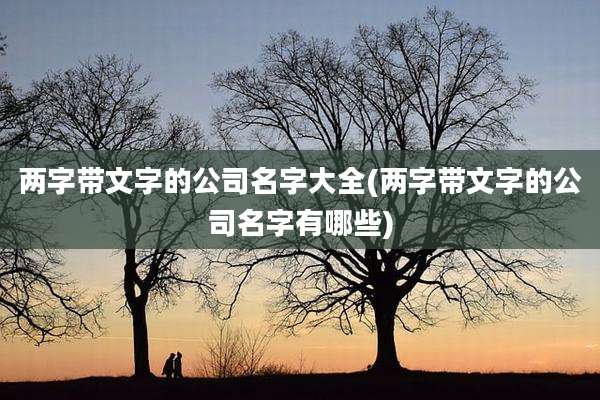 两字带文字的公司名字大全(两字带文字的公司名字有哪些)