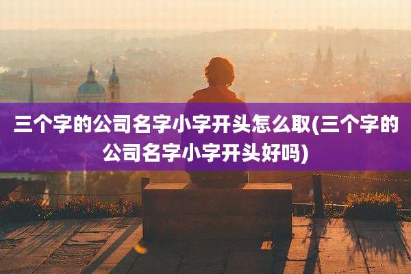 三个字的公司名字小字开头怎么取(三个字的公司名字小字开头好吗)