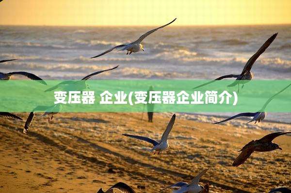 变压器 企业(变压器企业简介)