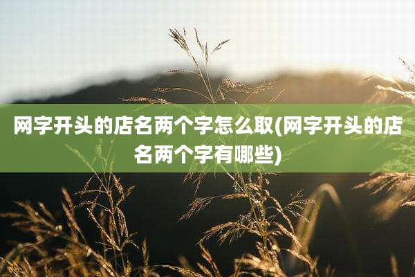 网字开头的店名两个字怎么取(网字开头的店名两个字有哪些)