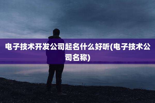 电子技术开发公司起名什么好听(电子技术公司名称)