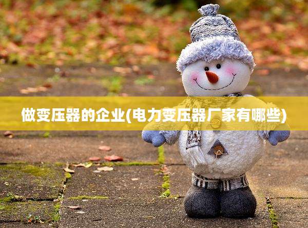 做变压器的企业(电力变压器厂家有哪些)