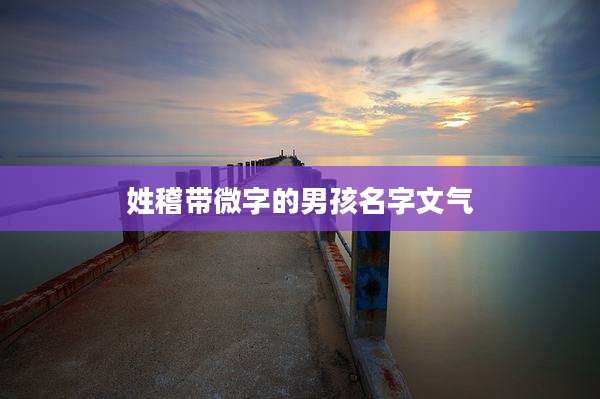 姓稽带微字的男孩名字文气