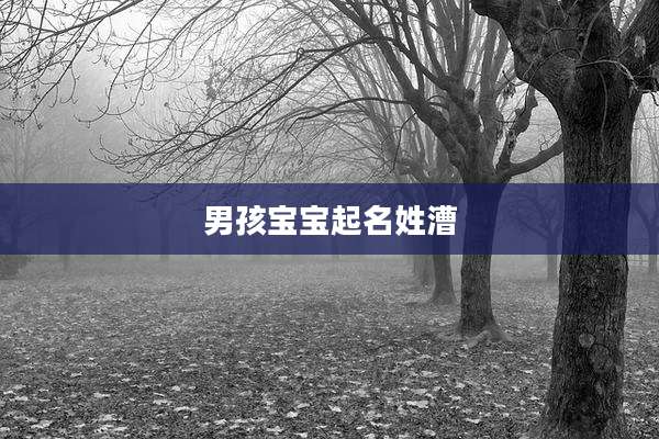 男孩宝宝起名姓漕