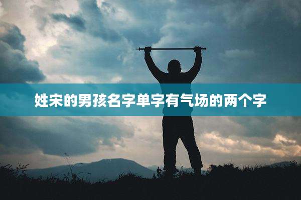 姓宋的男孩名字单字有气场的两个字