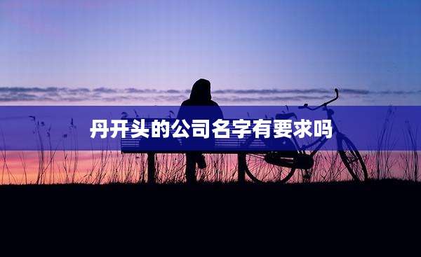 丹开头的公司名字有要求吗