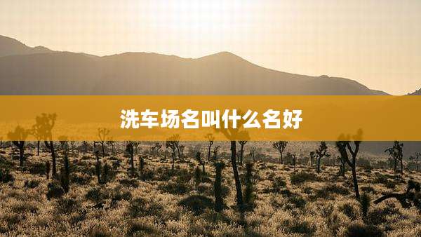 洗车场名叫什么名好