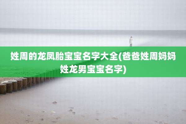 姓周的龙凤胎宝宝名字大全(爸爸姓周妈妈姓龙男宝宝名字)