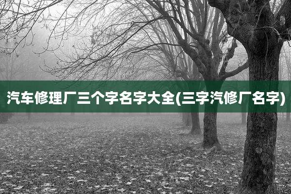 汽车修理厂三个字名字大全(三字汽修厂名字)