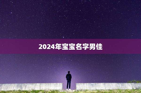 2024年宝宝名字男佳