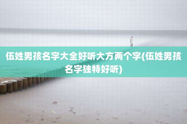 伍姓男孩名字大全好听大方两个字(伍姓男孩名字独特好听)