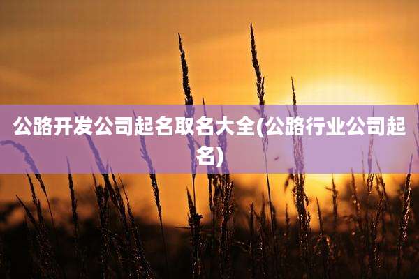 公路开发公司起名取名大全(公路行业公司起名)