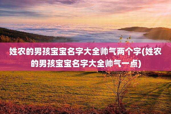 姓农的男孩宝宝名字大全帅气两个字(姓农的男孩宝宝名字大全帅气一点)