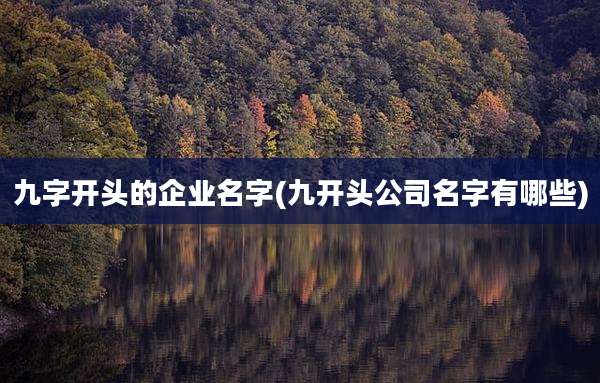 九字开头的企业名字(九开头公司名字有哪些)