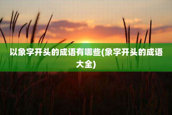 以象字开头的成语有哪些(象字开头的成语大全)