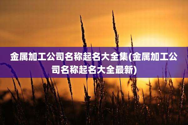 金属加工公司名称起名大全集(金属加工公司名称起名大全最新)