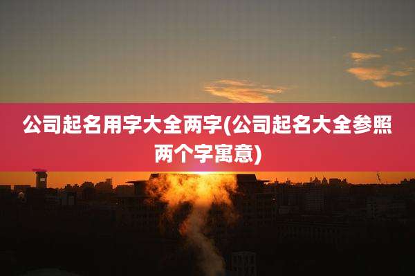 公司起名用字大全两字(公司起名大全参照两个字寓意)