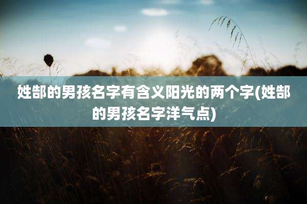 姓郜的男孩名字有含义阳光的两个字(姓郜的男孩名字洋气点)