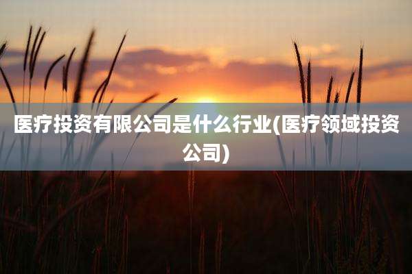 医疗投资有限公司是什么行业(医疗领域投资公司)
