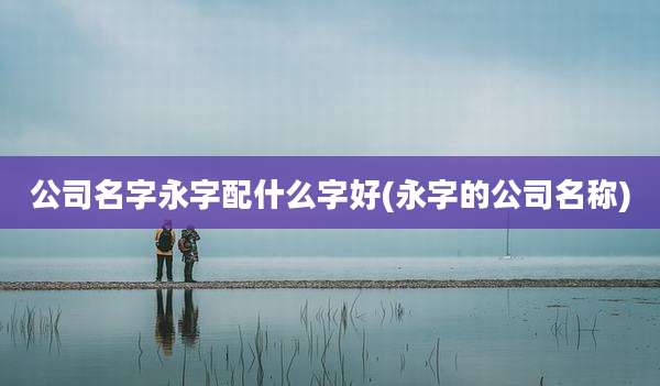 公司名字永字配什么字好(永字的公司名称)