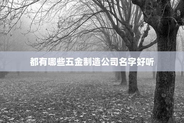 都有哪些五金制造公司名字好听