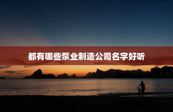 都有哪些泵业制造公司名字好听