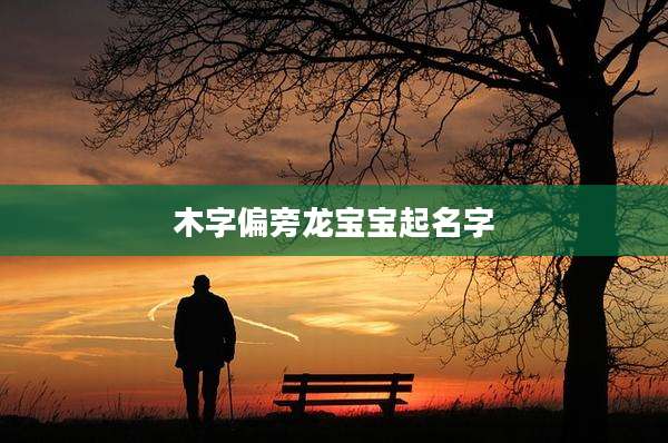 木字偏旁龙宝宝起名字