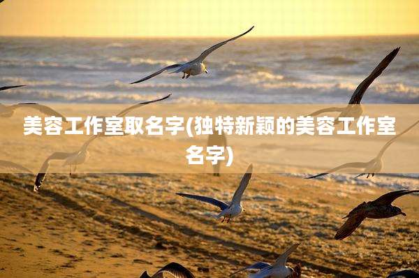美容工作室取名字(独特新颖的美容工作室名字)
