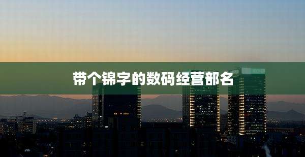 带个锦字的数码经营部名