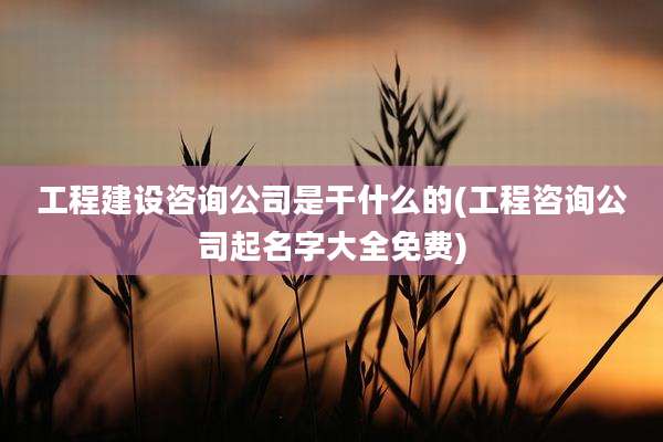 工程建设咨询公司是干什么的(工程咨询公司起名字大全免费)