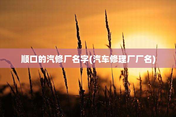 顺口的汽修厂名字(汽车修理厂厂名)