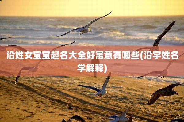 沿姓女宝宝起名大全好寓意有哪些(沿字姓名学解释)