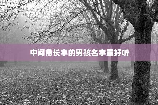 中间带长字的男孩名字最好听