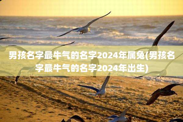 男孩名字最牛气的名字2024年属兔(男孩名字最牛气的名字2024年出生)