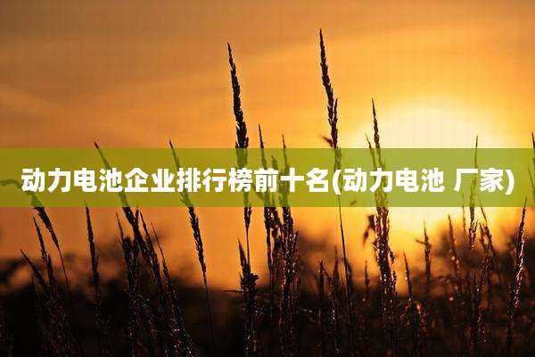 动力电池企业排行榜前十名(动力电池 厂家)