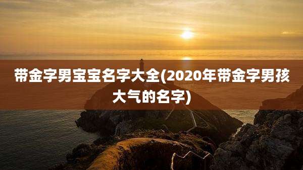 带金字男宝宝名字大全(2020年带金字男孩大气的名字)
