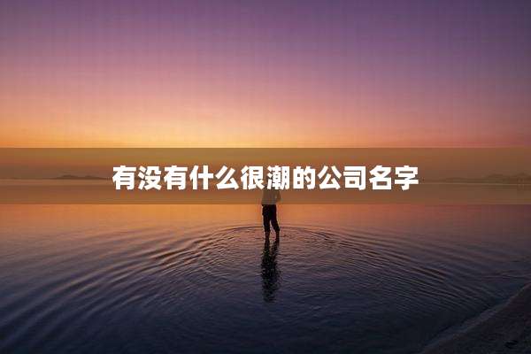有没有什么很潮的公司名字