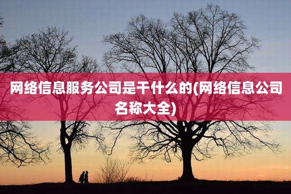 网络信息服务公司是干什么的(网络信息公司名称大全)