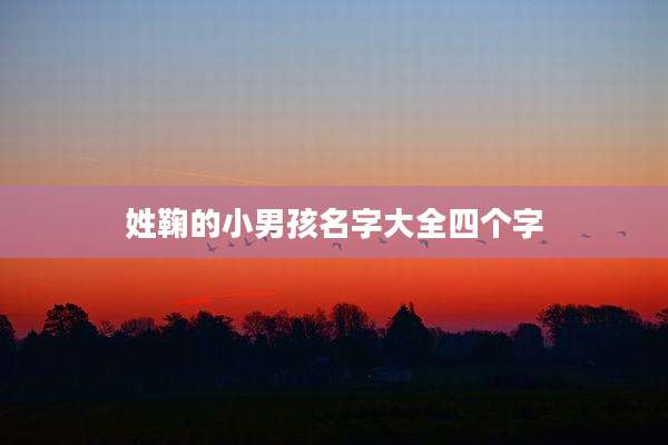 姓鞠的小男孩名字大全四个字