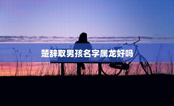 楚辞取男孩名字属龙好吗