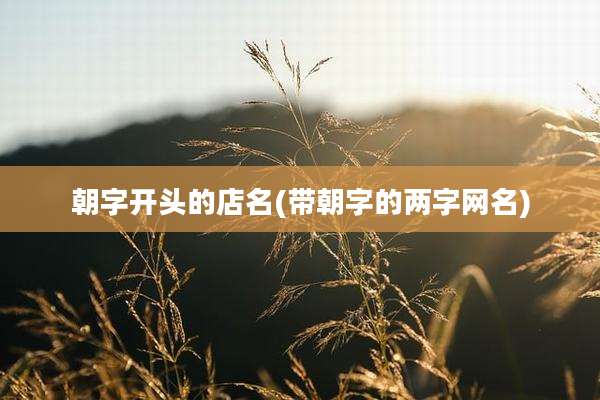 朝字开头的店名(带朝字的两字网名)