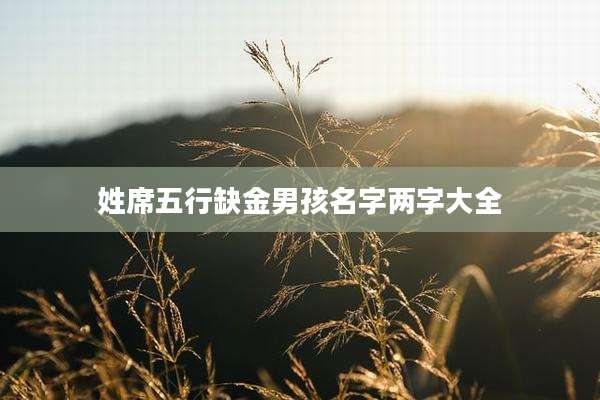 姓席五行缺金男孩名字两字大全