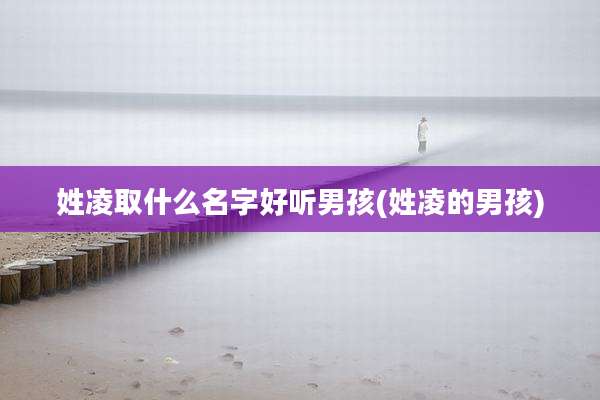 姓凌取什么名字好听男孩(姓凌的男孩)