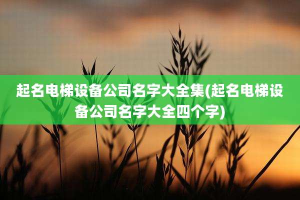 起名电梯设备公司名字大全集(起名电梯设备公司名字大全四个字)